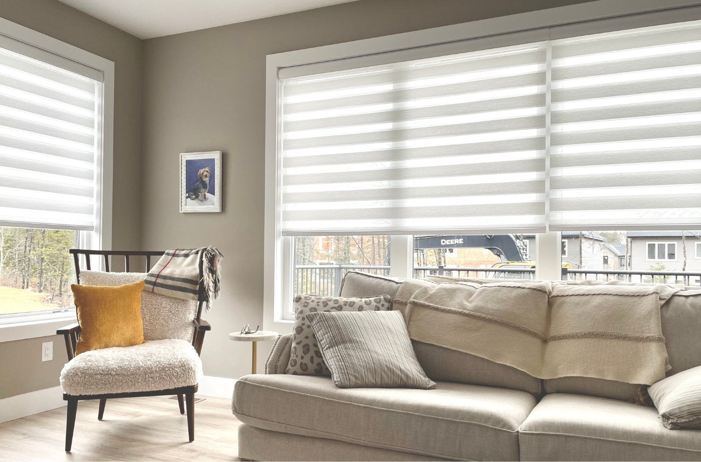 Zebra Blinds