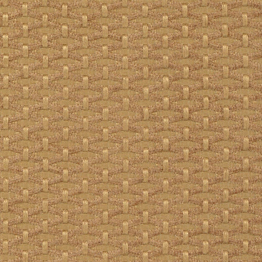 Fabric by Meter - Beth