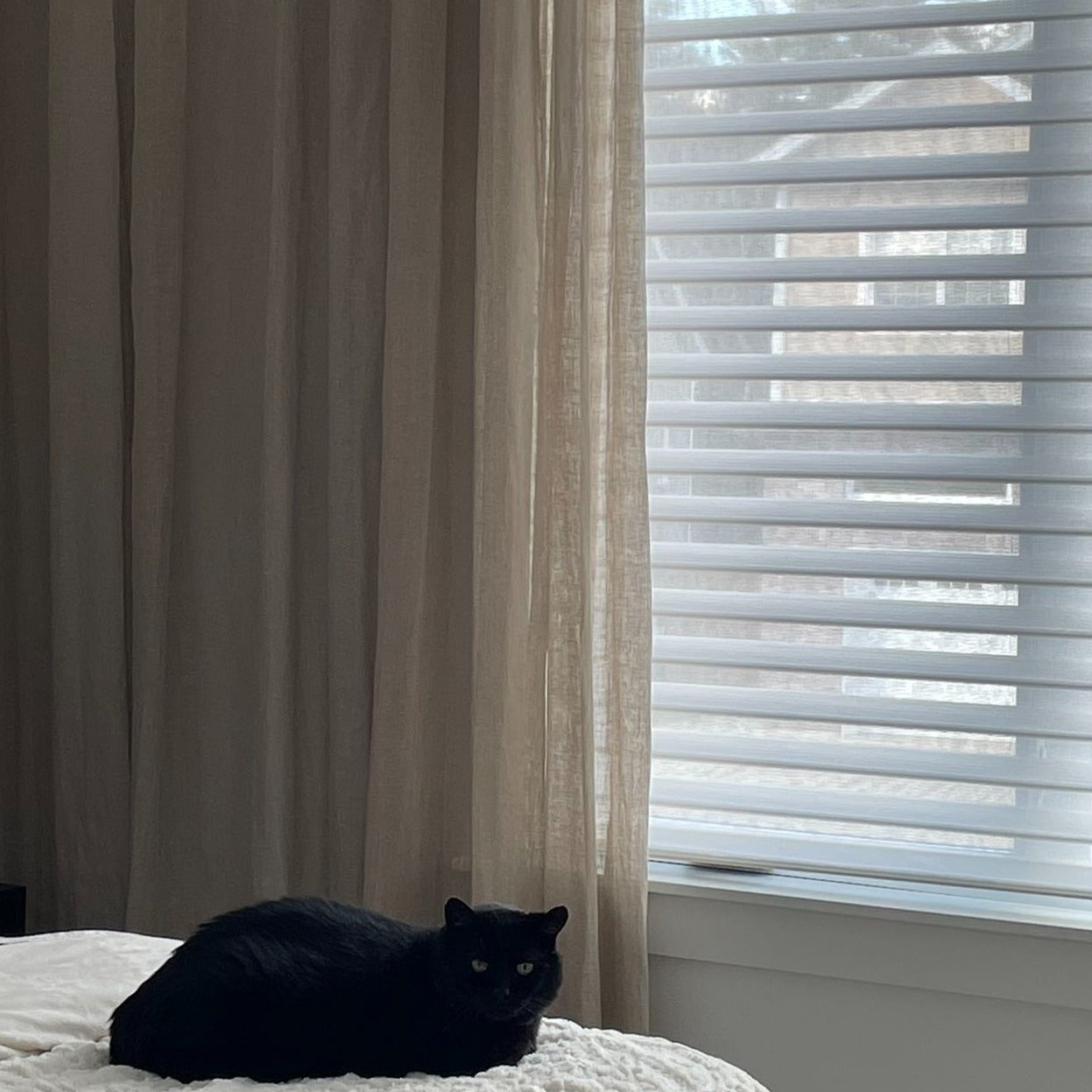 Custom Classic Room Darkening Sheer Shades / Blinds | MIFU Decor