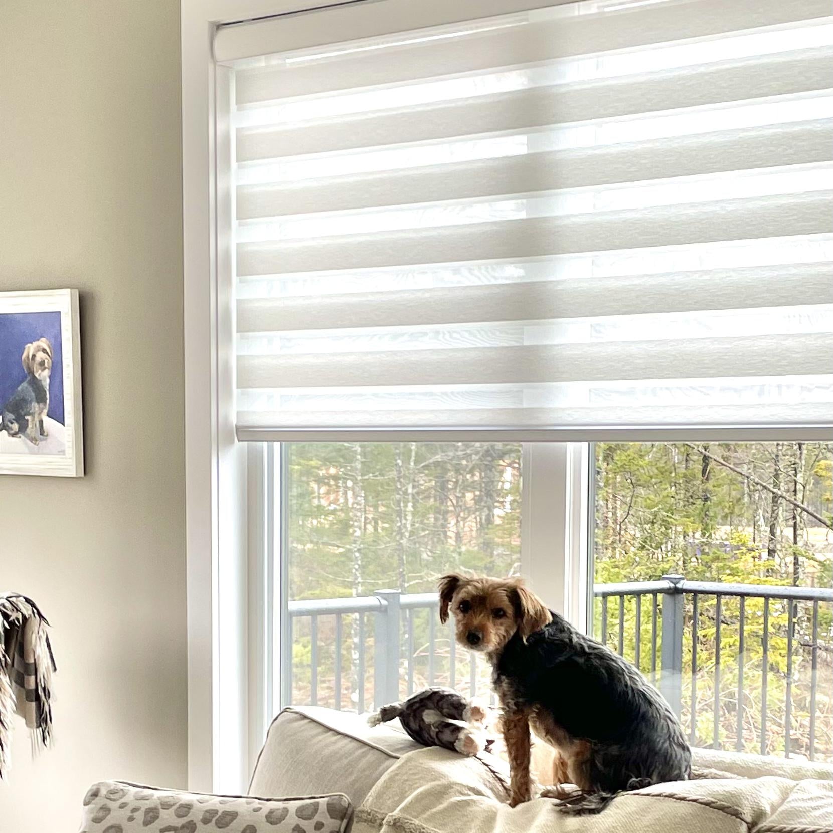 Zebra Blinds